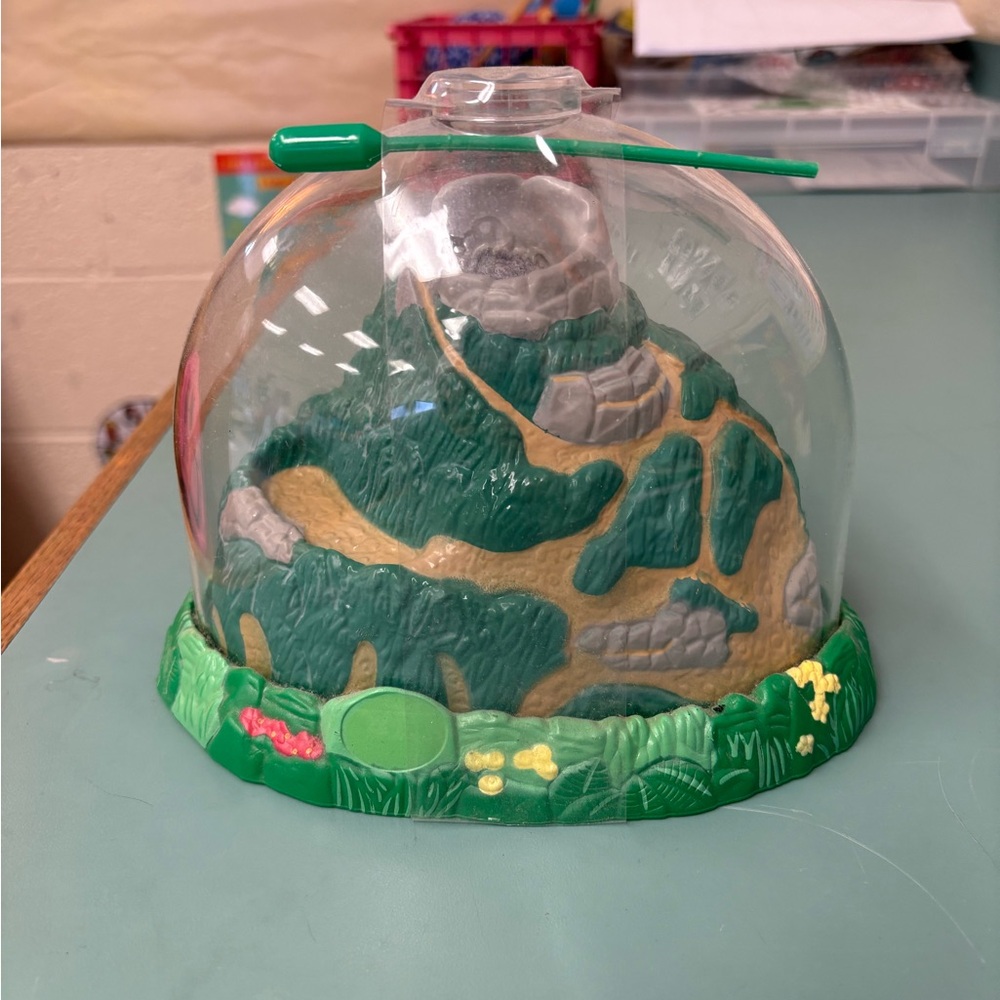 Learning Lore 🐞 Ladybug Land